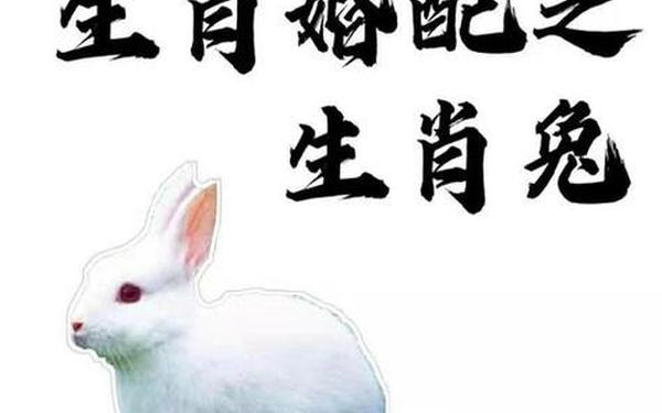 属兔最般配的属相 属兔最般配的属相