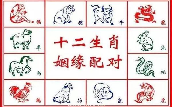 属兔和属龙的能结婚吗 属兔和属龙的能结婚吗