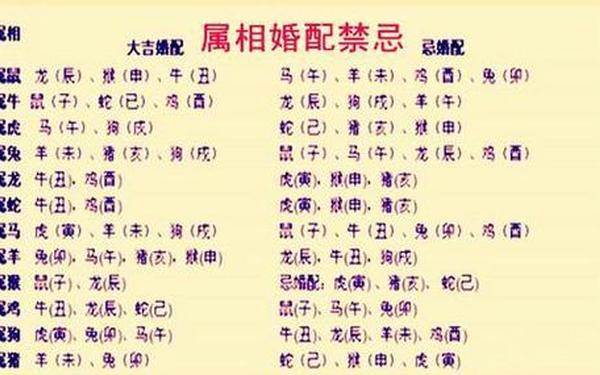 属猴与属虎的合吗,属虎人与属猴人相合吗 属猴与属虎的合吗,属虎人与属猴人相合吗