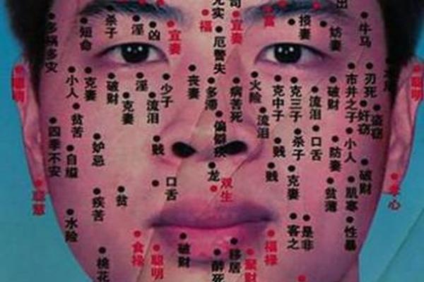 为什么脸上有男相的痣呢、痣相图解男