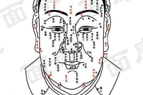 男人痣相算命图解,男士痣相学大全图解