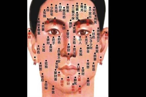 左眉有痣的相法图解男人、左眉有痣的男人面相图