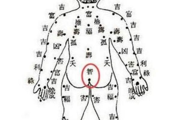 痣相算命的含义和象征_身上有痣 算命图解