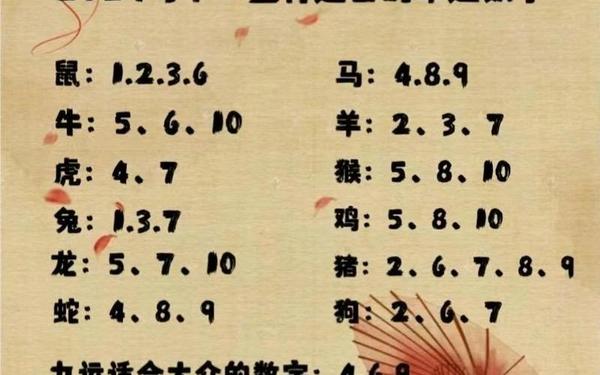 单肖有哪些生肖2024年 单肖有哪些生肖2024年
