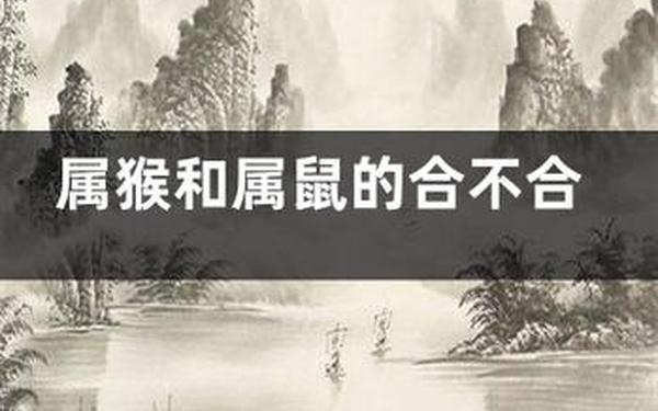 鼠和猴是合还是冲-属鼠的属相合不合 鼠和猴是合还是冲-属鼠的属相合不合