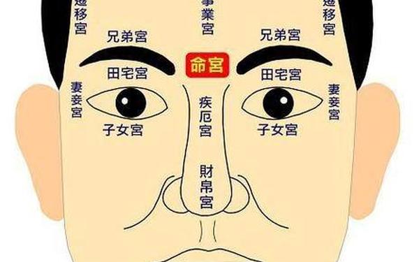 看面相算命大师—面相大师app 看面相算命大师—面相大师app