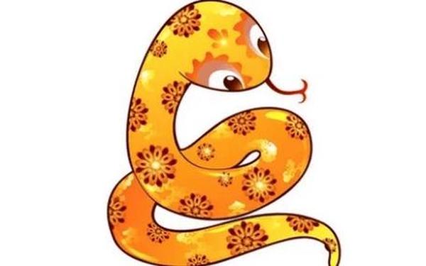 属猴和属蛇哪个智商高一点呢女生(智商最高的生肖 猴) 属猴和属蛇哪个智商高一点呢女生(智商最高的生肖 猴)
