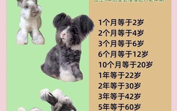 属兔的人年龄分别是哪一年 属兔的人年龄分别是哪一年