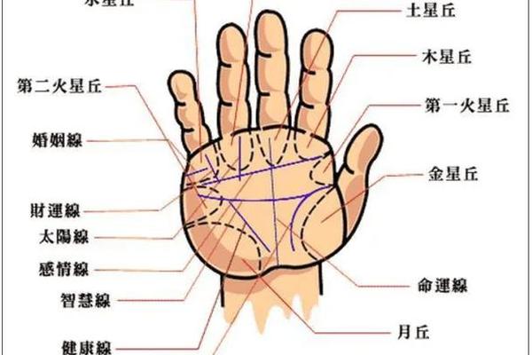 手心长痣痣相;手上痣相图解大全 手心长痣痣相;手上痣相图解大全