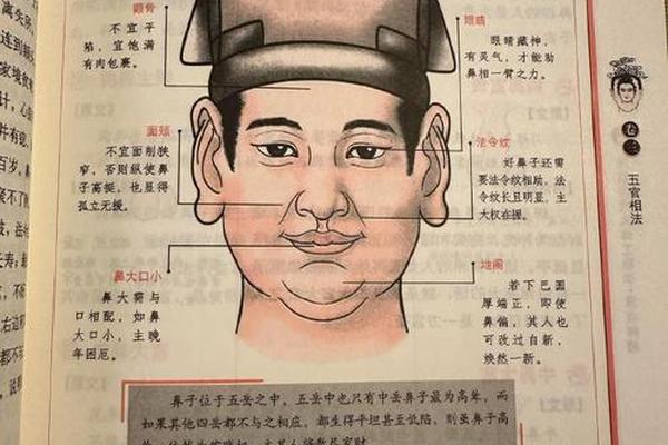 麻衣神相痣相分析,麻衣神相看面相