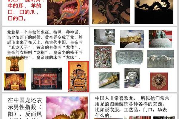 龙文化(龙文化简介)