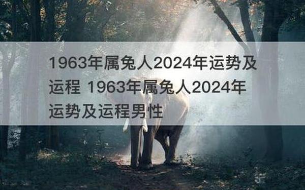 1963年的兔是什么命 1963年的兔是什么命