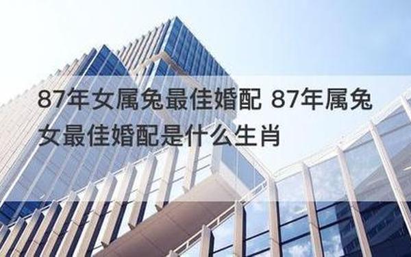 男龙女兔婚姻最终结果 男龙女兔婚姻最终结果
