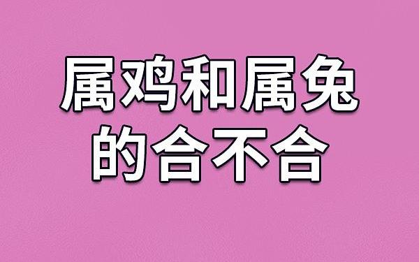 属兔与属鸡相冲吗 属兔与属鸡相冲吗