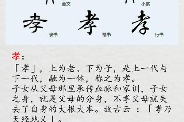 孝亲孝善文化;孝亲文化的理解