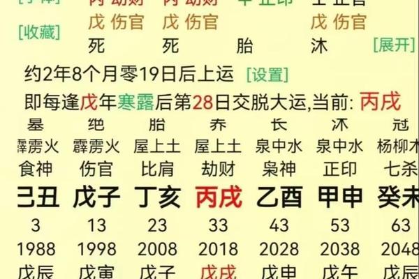 庚子八君子姓名