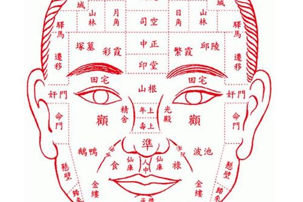 鬼谷子痣相全书彩图,周易面相痣相大全图解