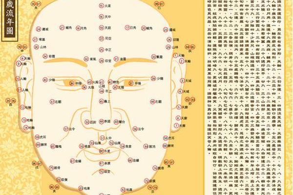 麻衣神相女人痣相图(麻衣神相图片) 麻衣神相女人痣相图(麻衣神相图片)