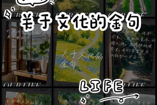 文化的重要性;关于文化重要性的金句
