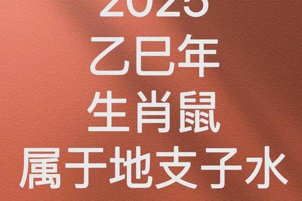 2025年属鼠人的运势怎么样