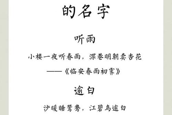 时春雨姓名