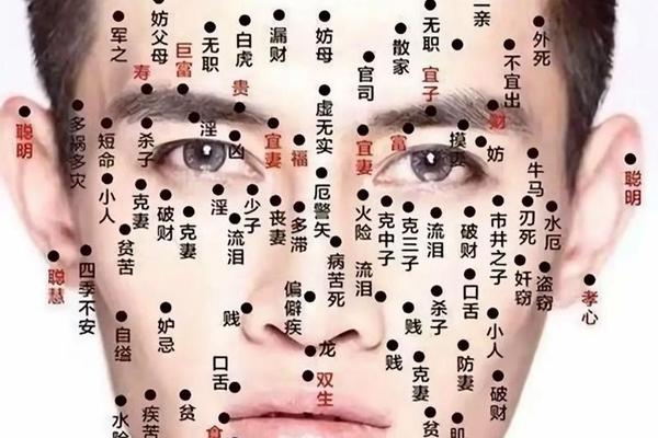 科学痣相(面相学痣)
