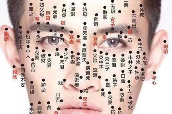 痣相男人左手右手,男人后背痣相最准图
