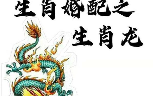 属虎人和属龙的做生意_什么东西最旺属虎人 属虎人和属龙的做生意_什么东西最旺属虎人