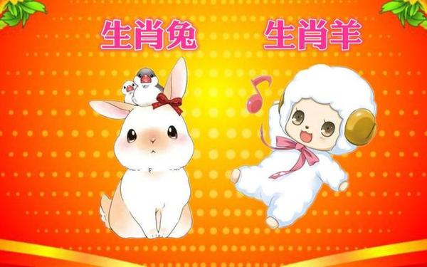 属兔和属啥的合财 属兔和属啥的合财