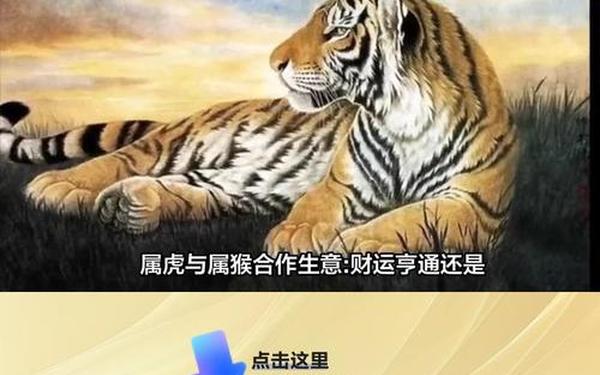 属猴跟属虎的合不合得来,虎与猴属相合不合 属猴跟属虎的合不合得来,虎与猴属相合不合
