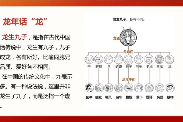 龙文化的资料、龙文化的历史