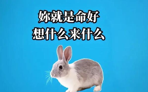 75年兔的性格和命运 75年兔的性格和命运