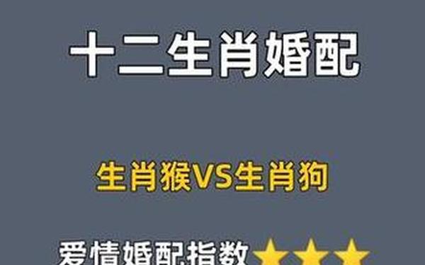 属猴人最佳配偶3个人属狗好吗 属猴人最佳配偶3个人属狗好吗