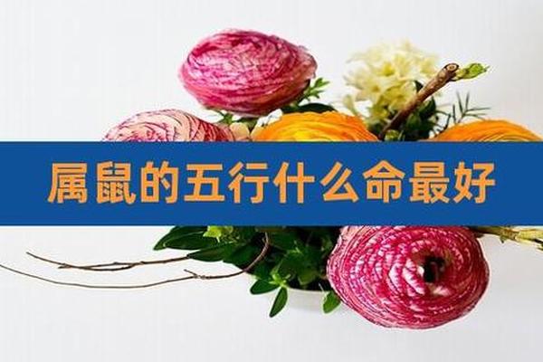 2020年属鼠的人命里缺什么