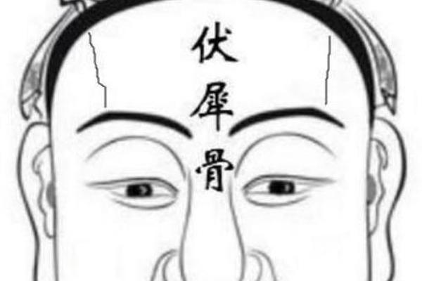 伏羲痣相—方形伏羲骨面相