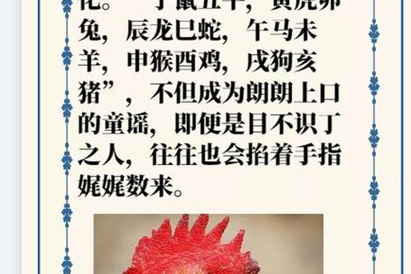 鸡的八字