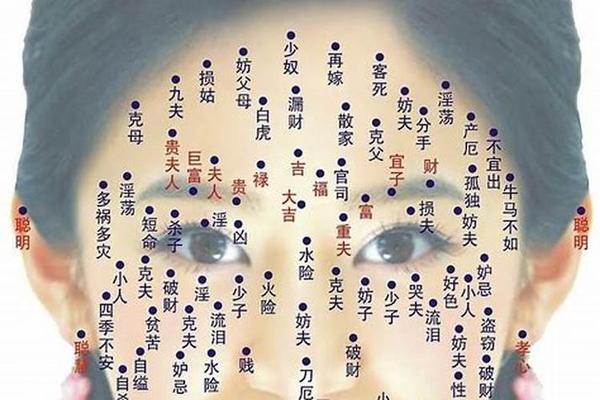 易小麒痣相;周易痣图解