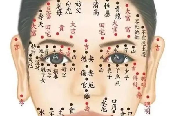 麻衣神相全身痣图解女;麻衣神相女人面痣图解