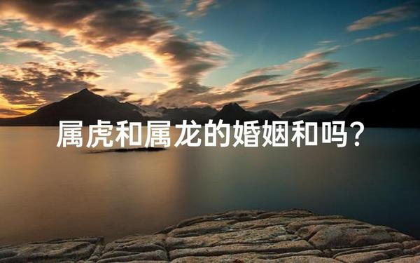 属虎与属龙相合吗婚姻(属虎的跟属龙的合不合) 属虎与属龙相合吗婚姻(属虎的跟属龙的合不合)