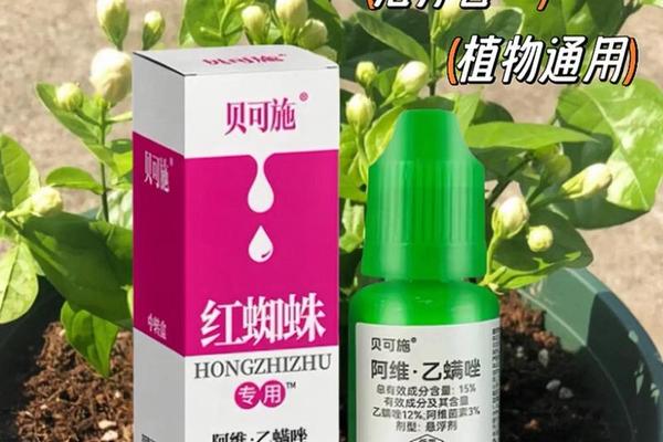 和蜘蛛痣相的皮肤病,被蜘蛛爬过的皮肤用什么药 和蜘蛛痣相的皮肤病,被蜘蛛爬过的皮肤用什么药