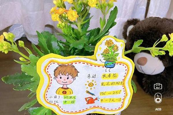 花荟姓名牌