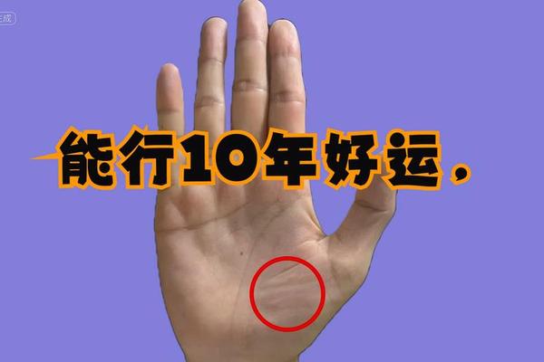 手相最灵的痣相—最吉利的十大福气痣相