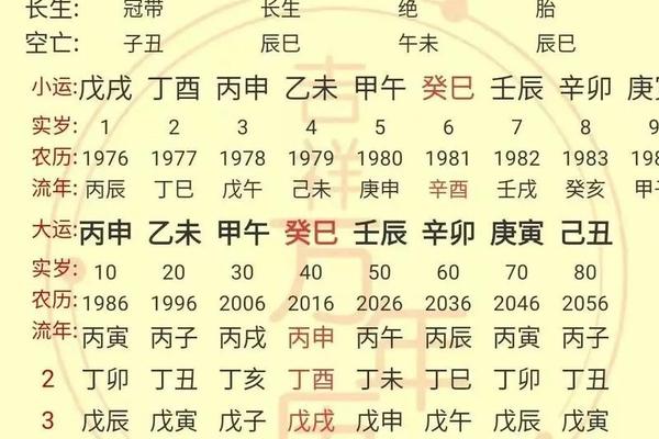 八字干支