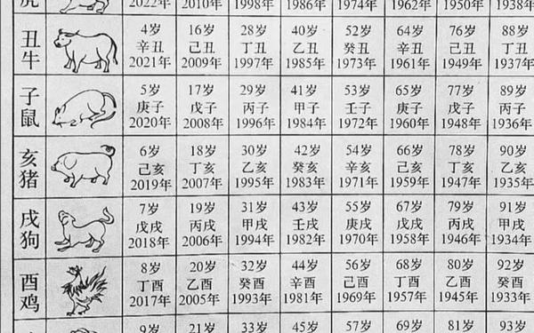 属兔今年多大岁数 属兔今年多大岁数