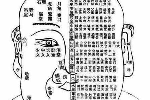 麻衣相师耳屏有痣;麻衣神相女人面部痣相最准图