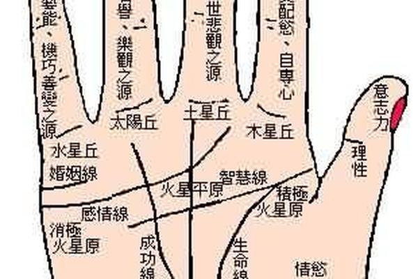 麻衣痣相手指-手上痣相图解