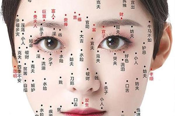 风水面部女性壹图解相痣(女性面部痣相图解-痣相)