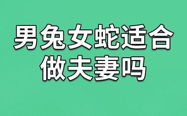 属兔和属蛇的婚姻合不合适 属兔和属蛇的婚姻合不合适