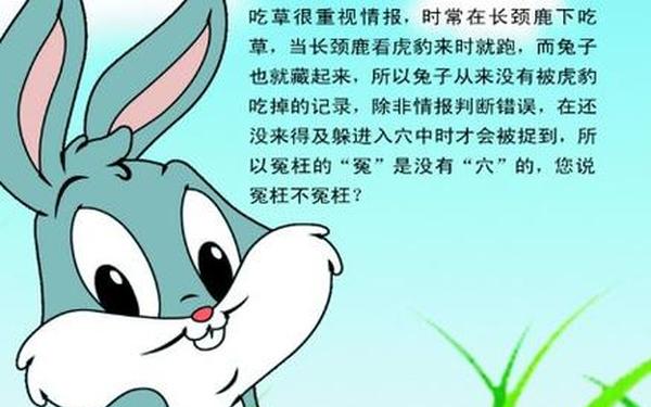 属兔的人性格和脾气是怎么样的 属兔的人性格和脾气是怎么样的