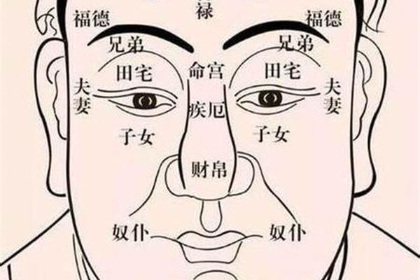 小孩痣相虎狗(小孩面部痣相图解)